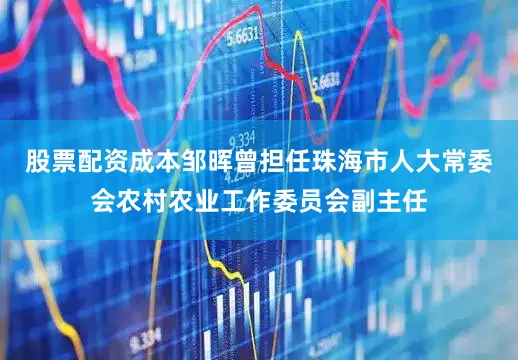 股票配资成本邹晖曾担任珠海市人大常委会农村农业工作委员会副主任