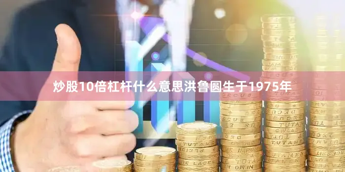 炒股10倍杠杆什么意思洪鲁圆生于1975年