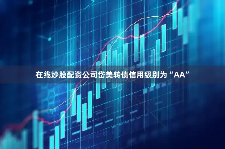 在线炒股配资公司岱美转债信用级别为“AA”