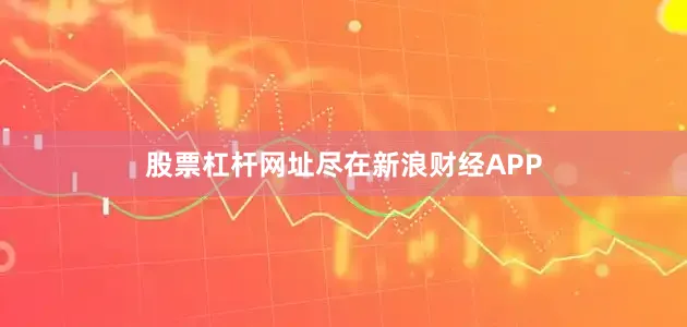 股票杠杆网址尽在新浪财经APP